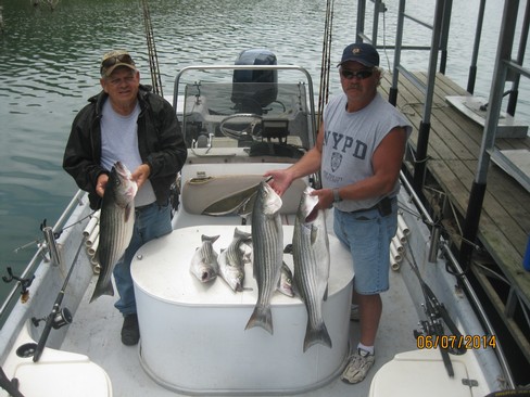 Nice Striped Bass